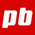 Pinkbike logo